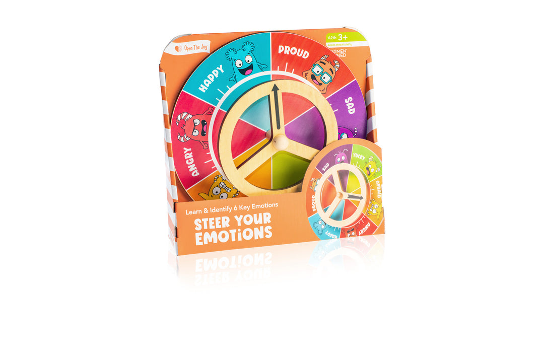 Steer Your Emotions Wheel