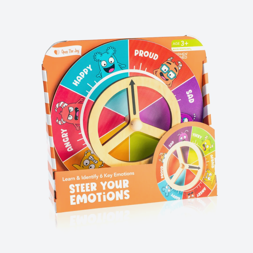 Steer Your Emotions Wheel