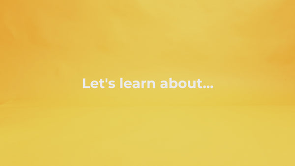 Toolkit Bundle - Empathy, Gratitude, Anger Management, Anxiety Management